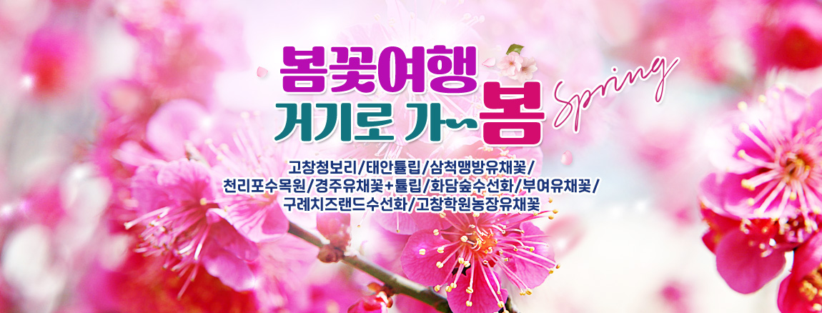 봄꽃여행