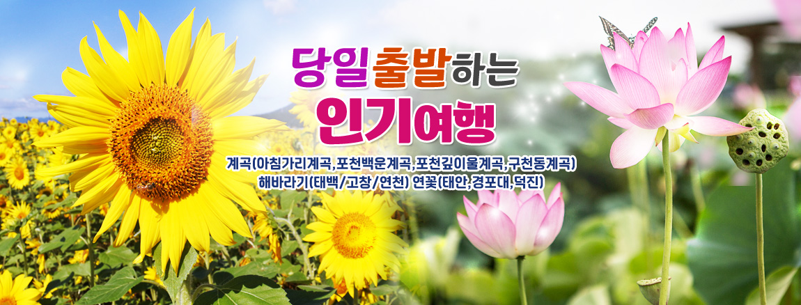 당일여행