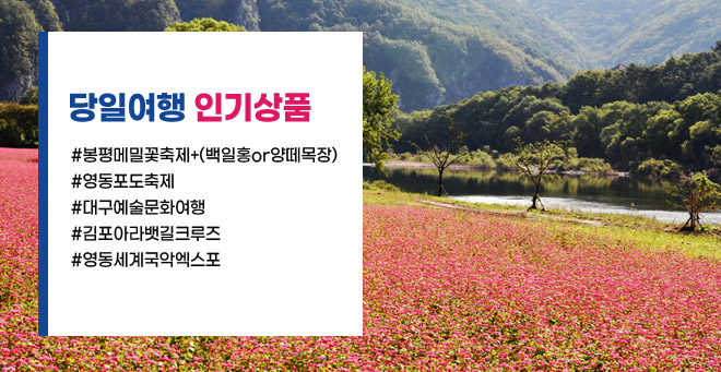 중간탭배너5