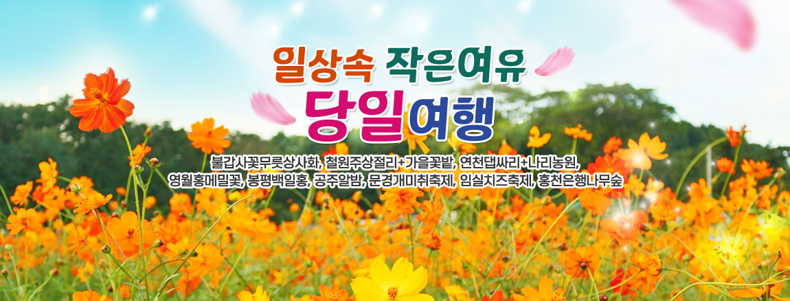 당일여행