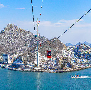 [115-1번][리무진버스]