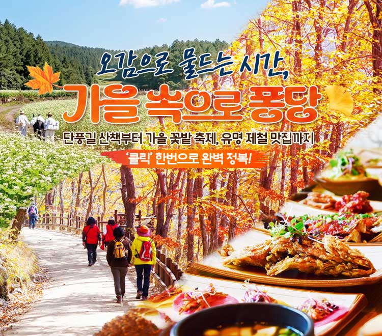 /upload/dongbaektour/file/we1100/202608/dongbaektour_cm9910_30000926.jpg