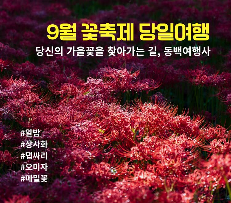 /upload/dongbaektour/file/we1100/202609/dongbaektour_cm9910_30000942.jpg
