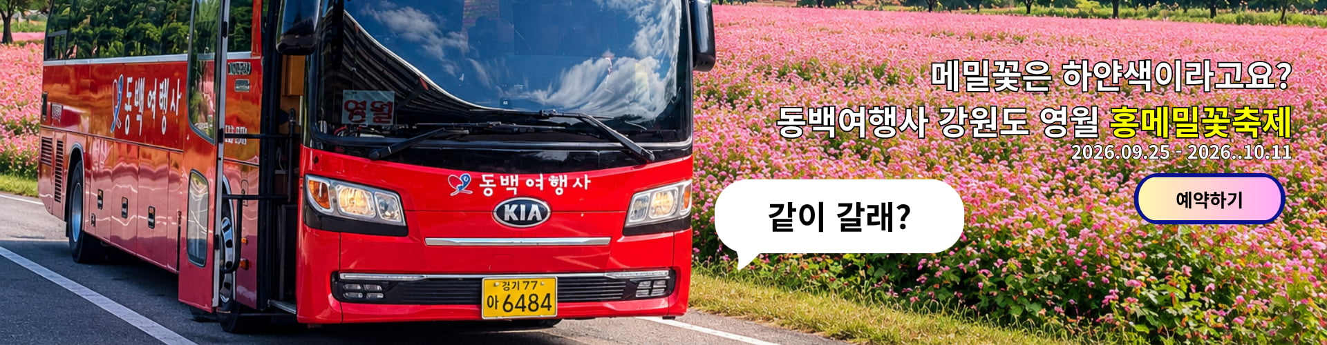 /upload/dongbaektour/file/we1100/202609/dongbaektour_cm9910_30000947.jpg