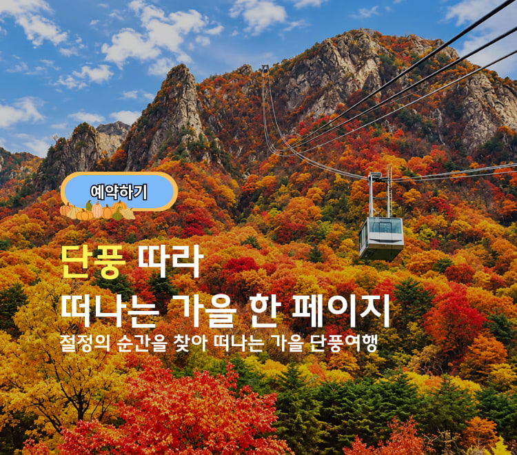 /upload/dongbaektour/file/we1100/202609/dongbaektour_cm9910_30000950.jpg