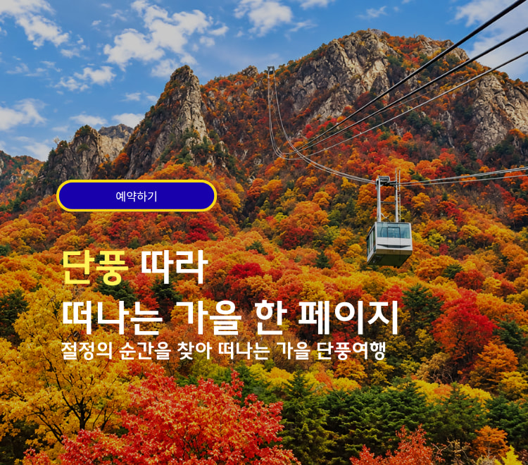 /upload/dongbaektour/file/we1100/202610/dongbaektour_cm9910_30000969.jpg