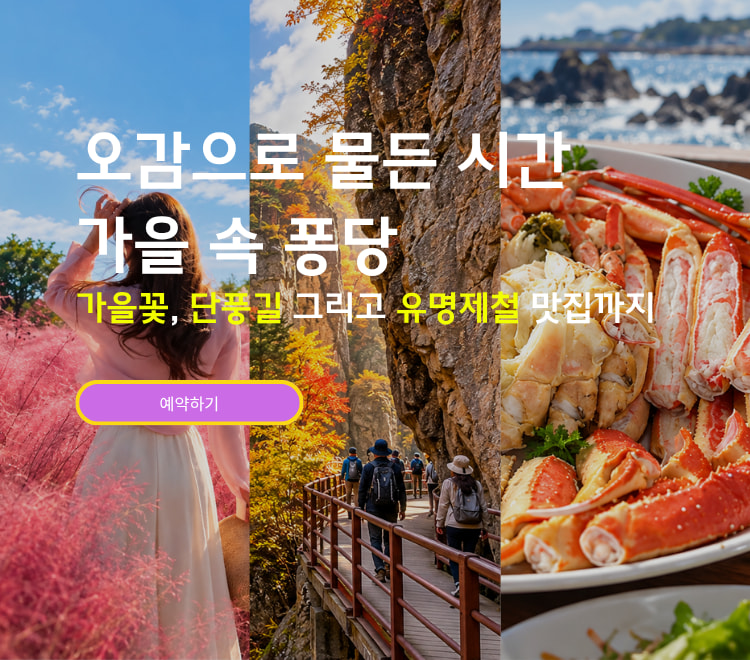 /upload/dongbaektour/file/we1100/202610/dongbaektour_cm9910_30000973.jpg