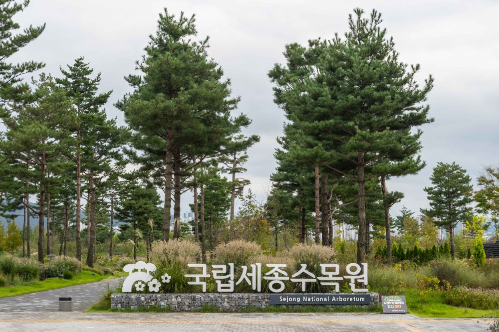 /upload/dongbaektour/image/tourinfo/KR/A01/dongbaektour_ti0120_30008178.jpg