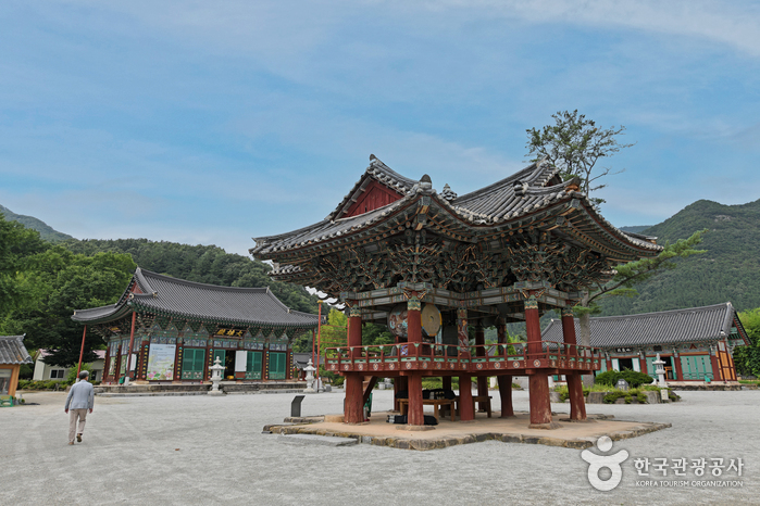 /upload/dongbaektour/image/tourinfo/KR/AC0/dongbaektour_ti0120_30009594.jpg
