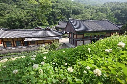 /upload/dongbaektour/image/tourinfo/KR/AI0/dongbaektour_ti0120_30011166.jpg
