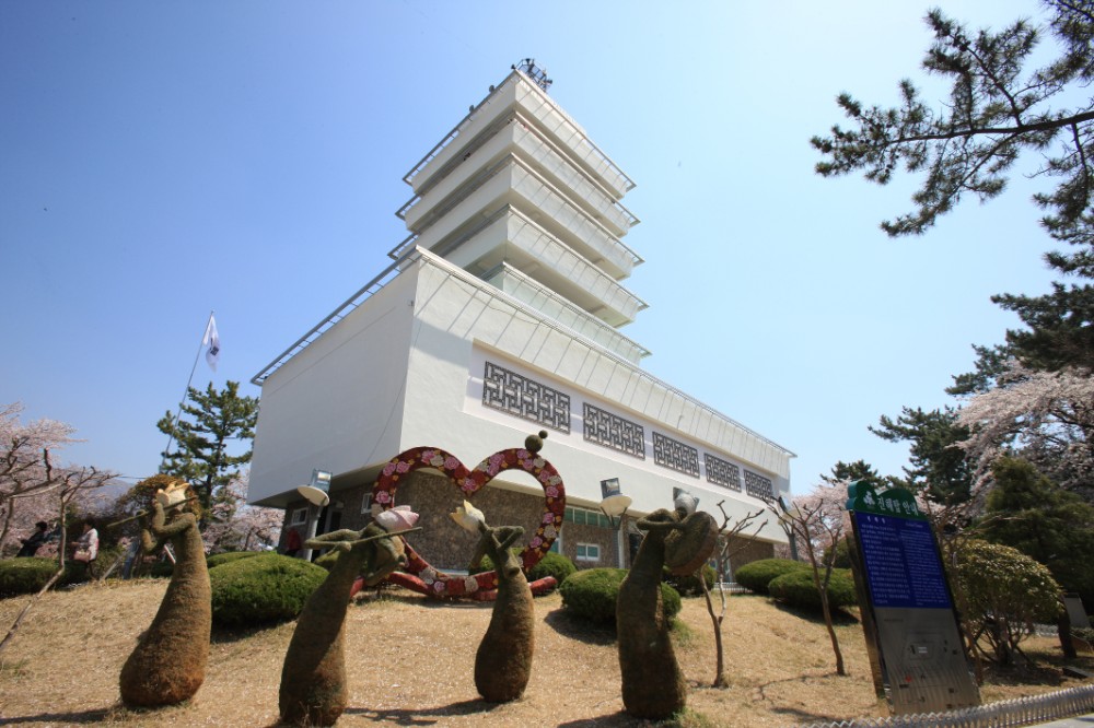 대한민국 1위 국내전문여행사 - 동백여행사