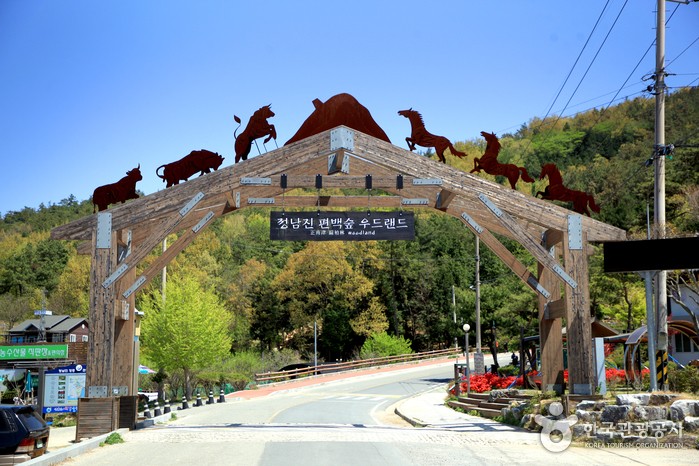 대한민국 1위 국내전문여행사 - 동백여행사