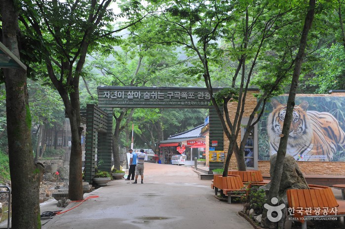 /upload/image/tourinfo/KR/A51/dongbaektour_ti0120_30000958.jpg