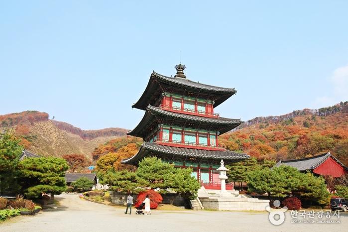 /upload/image/tourinfo/KR/AE1/dongbaektour_ti0120_30006115.jpg