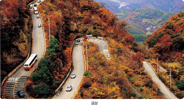 /upload/image/tourinfo/KR/AI4/dongbaektour_ti0120_30005999.jpg